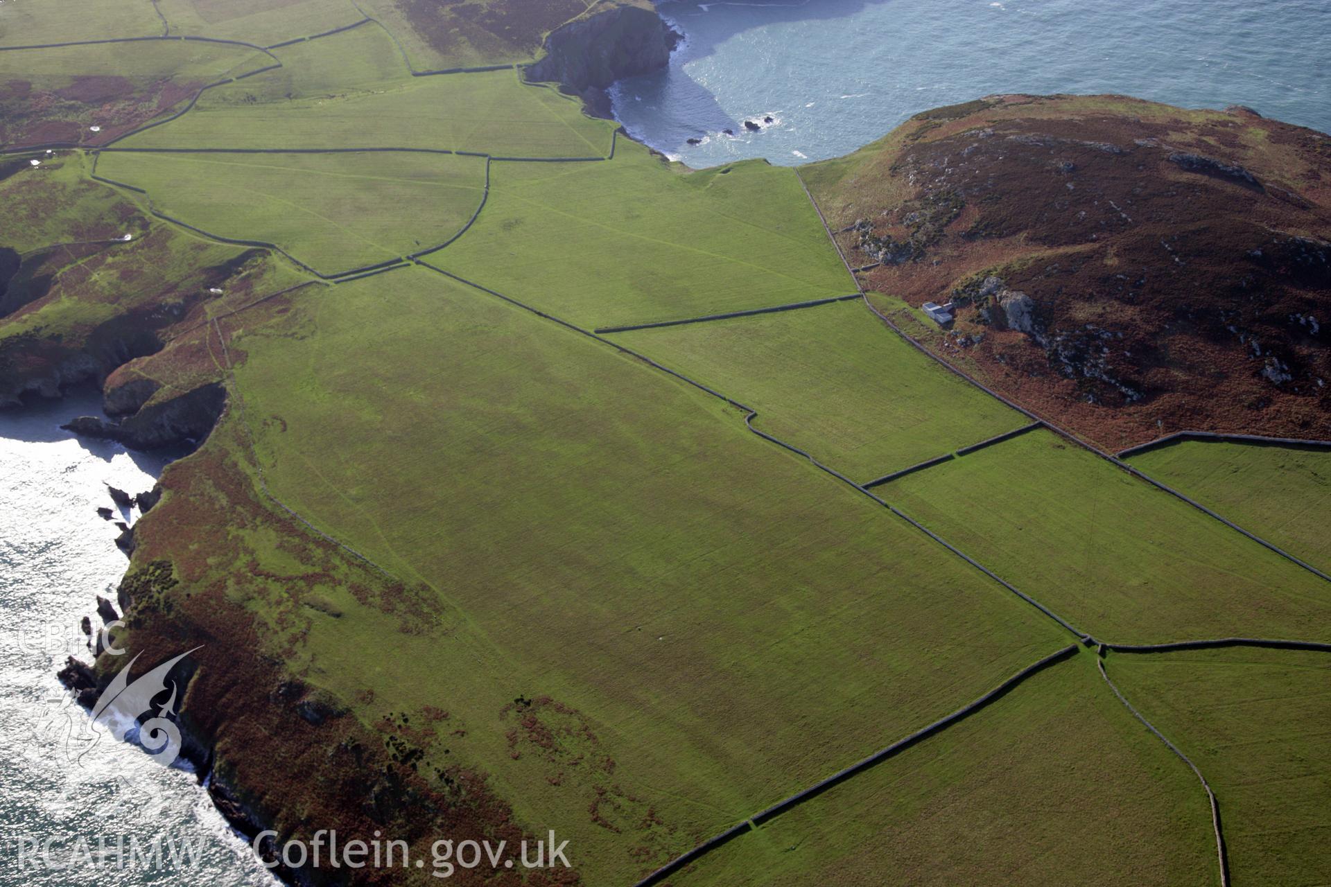 RCAHMW colour oblique photograph of field boundaries, Parc y Capel, Ramsey Island. Taken by O. Davies & T. Driver on 22/11/2013.