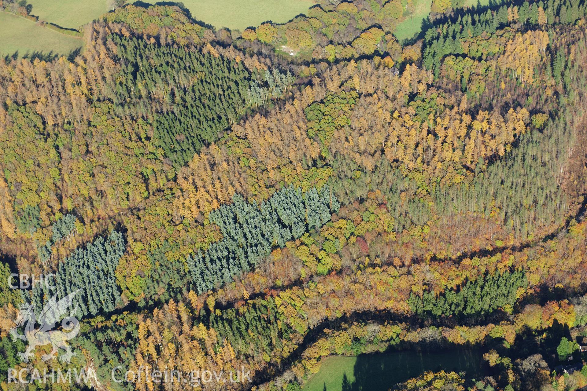 RCAHMW colour oblique photograph of Coed Maen Arthur, forestry with autumn colours. Taken by Toby Driver on 05/11/2012.