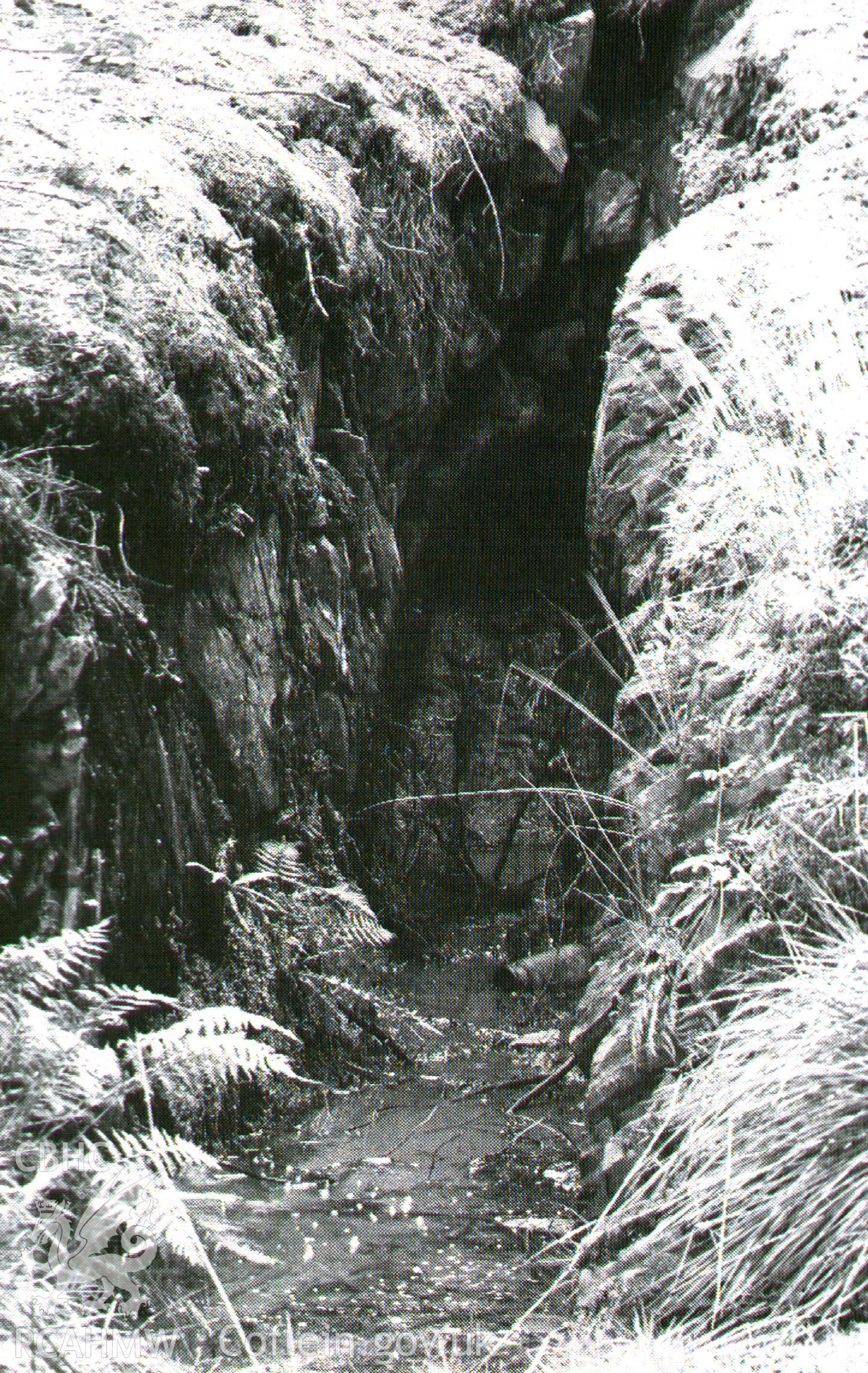 Digital image of adit within forestry above Blaen Cwmsymlog - Bick & Davies, 1994