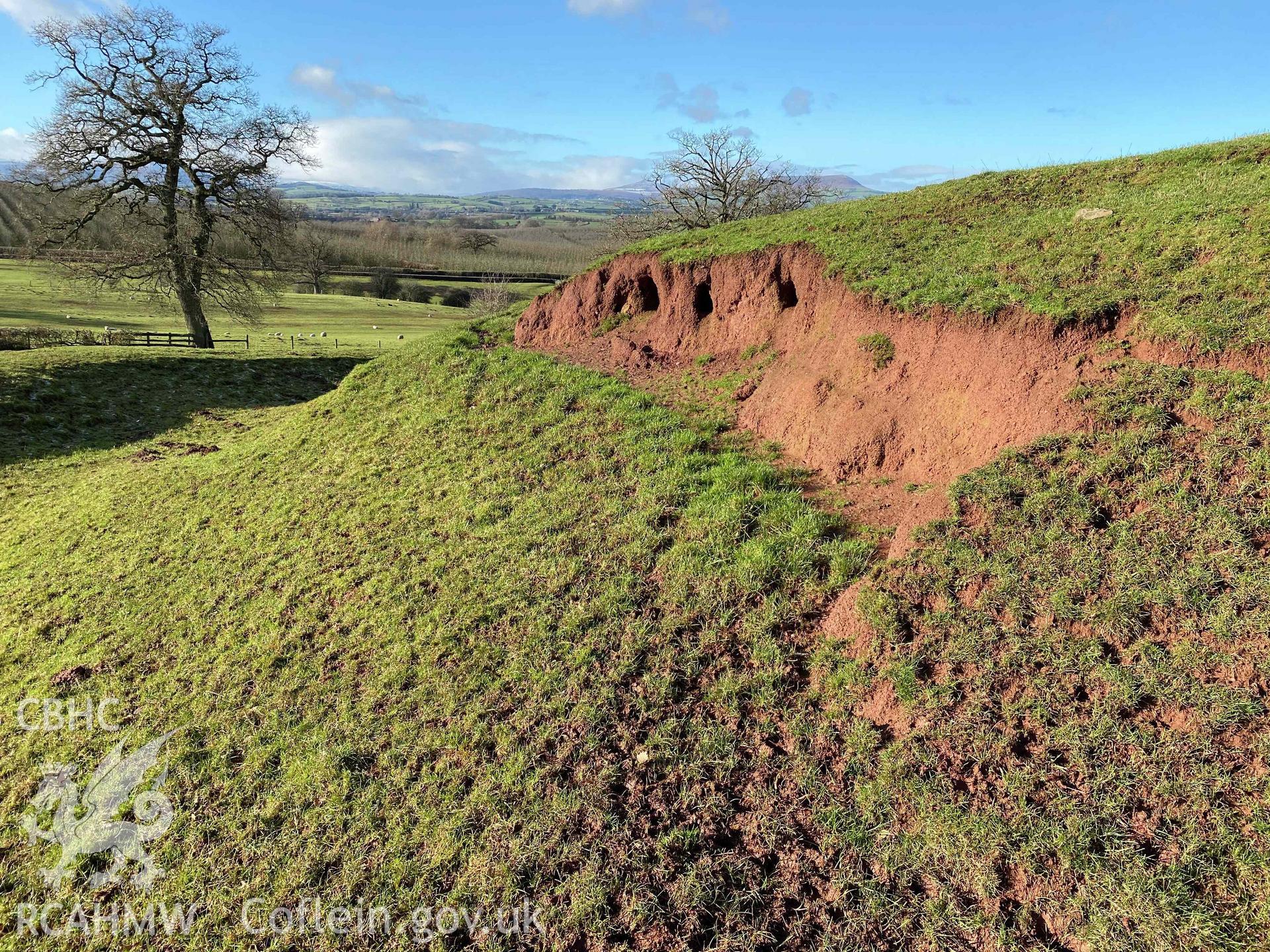 Digital photograph of erosion at Penrhos motte and bailey castle, produced by Paul Davis in 2020