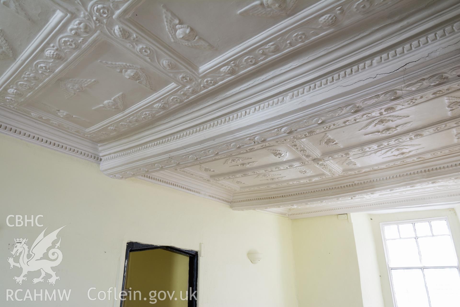 Principal chamber ceiling detail, taken by Martin Crampin for RCAHMW 21st March 2017.