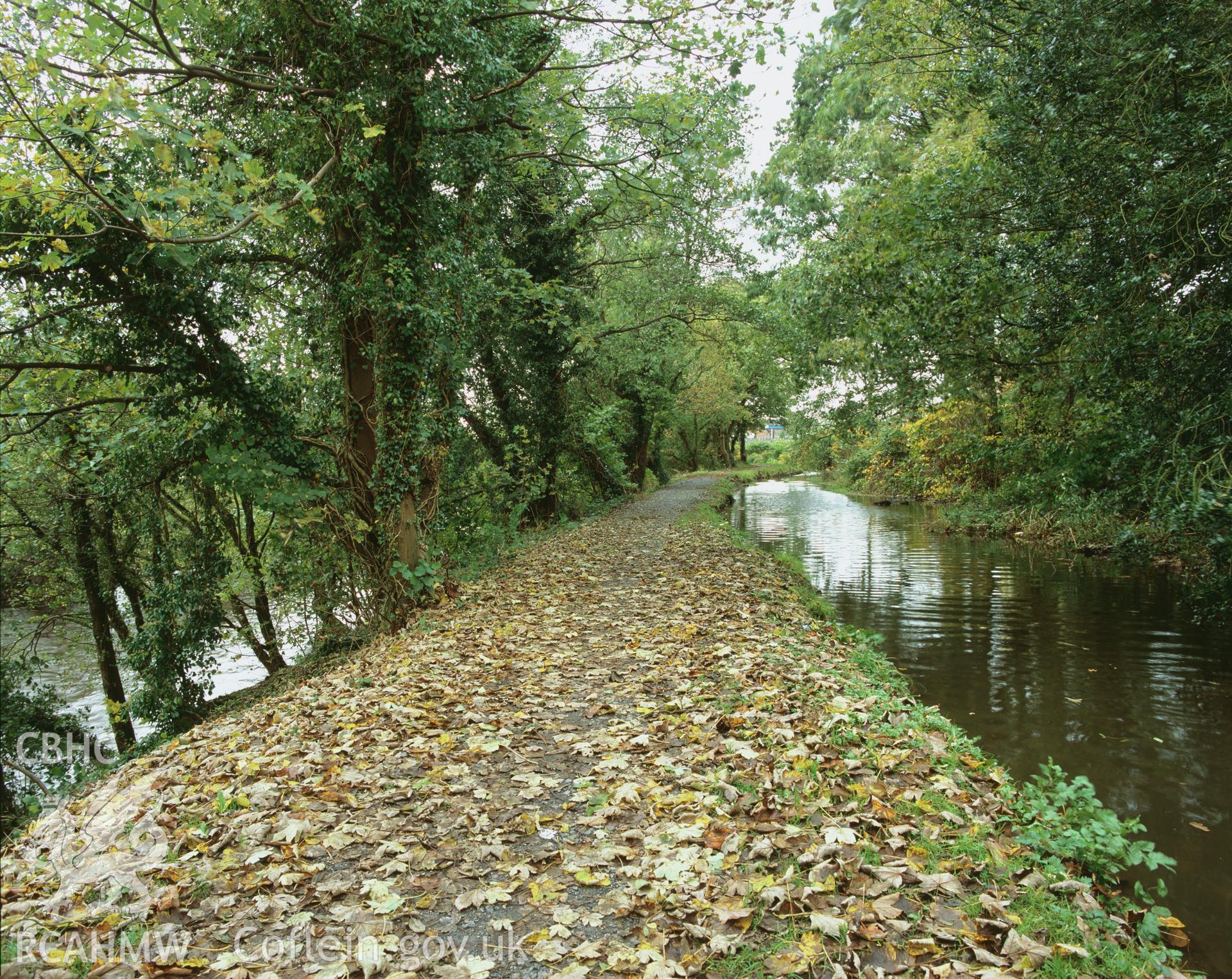 Colour transparency showing  view of a raised embankment at Trebanws, part of Swansea Canal, produced by Iain Wright, October 2005.