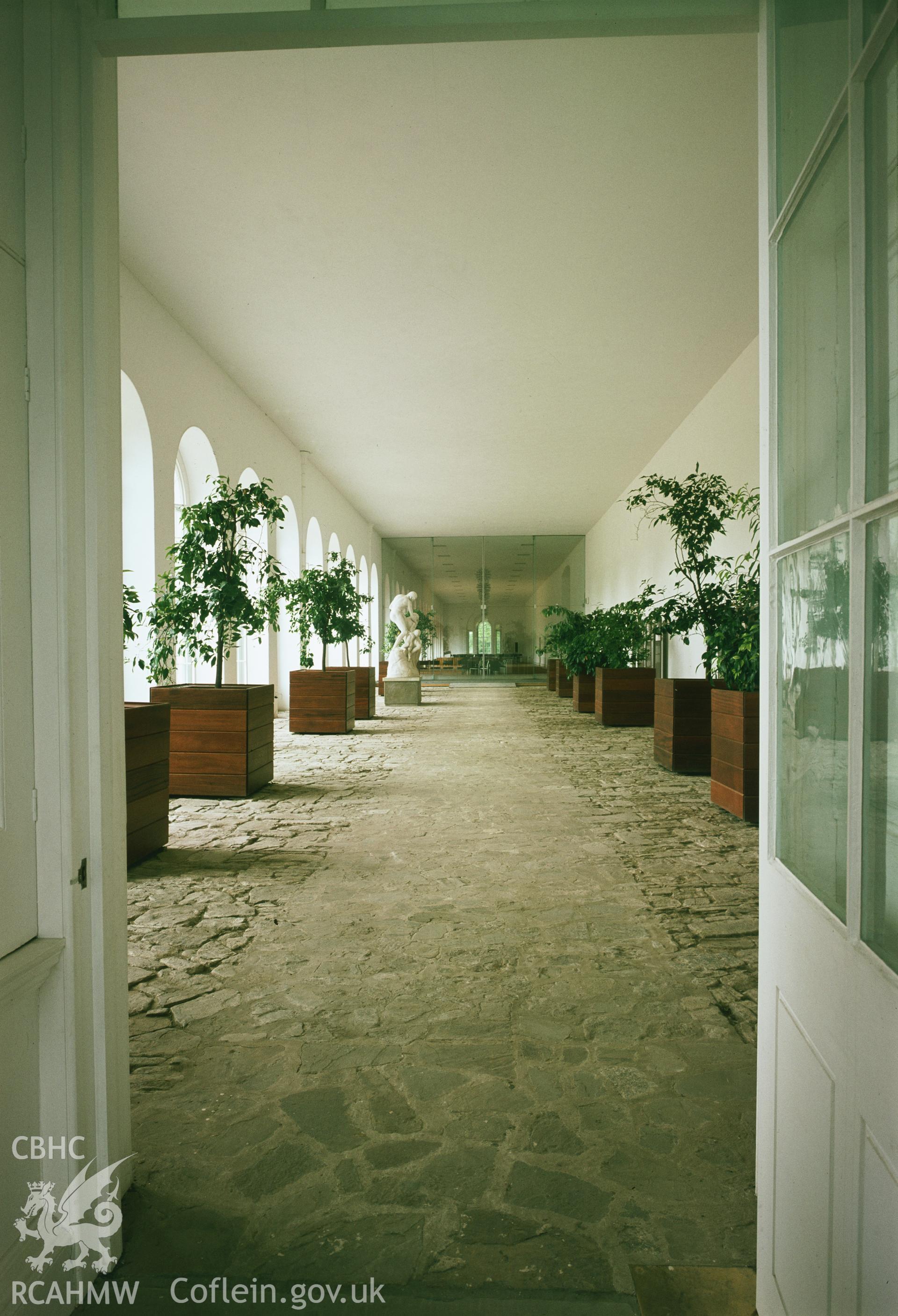 RCAHMW colour transparency showing an interior view of Margam Orangery, taken by Iain Wright, 1979