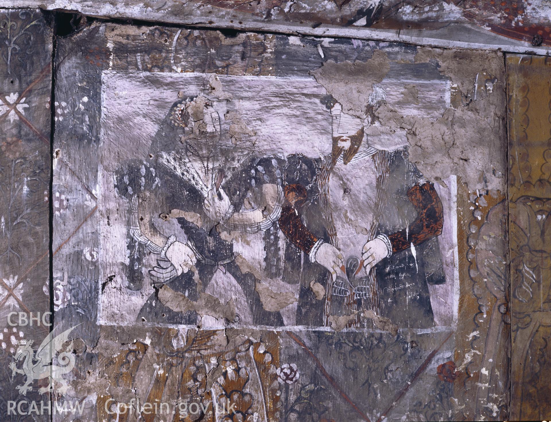 RCAHMW colour transparency showing wallpainting at Althrey Hall, taken by Iain Wright, 2003