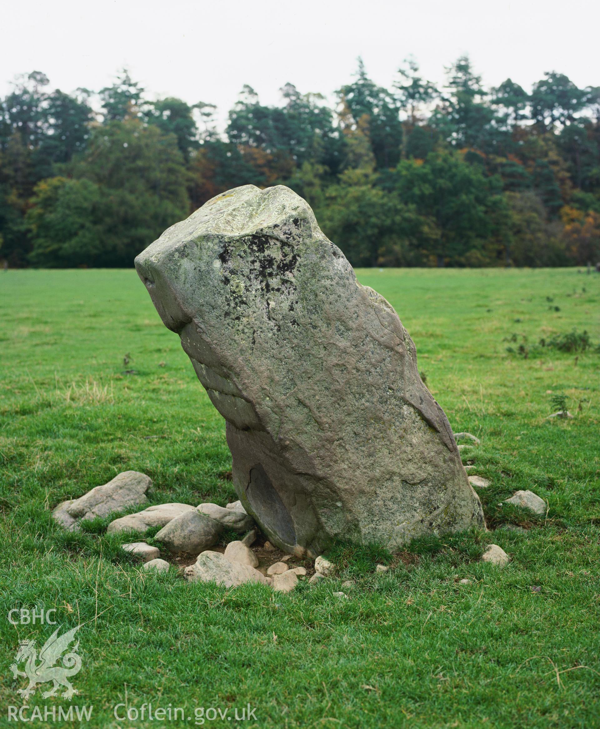 Colour transparency showing a view of standing stone at Newbridge on Wye, produced by Iain Wright, c.1981.