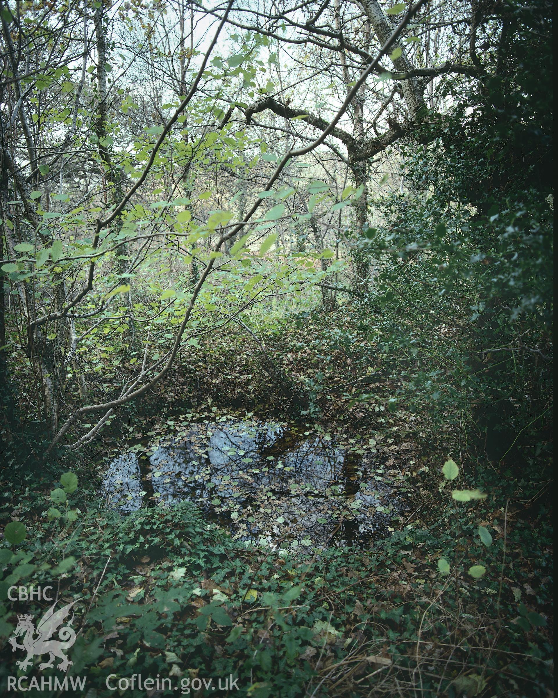 RCAHMW colour transparency showing flooded bell pits at a Country Park in the Swansea Valley