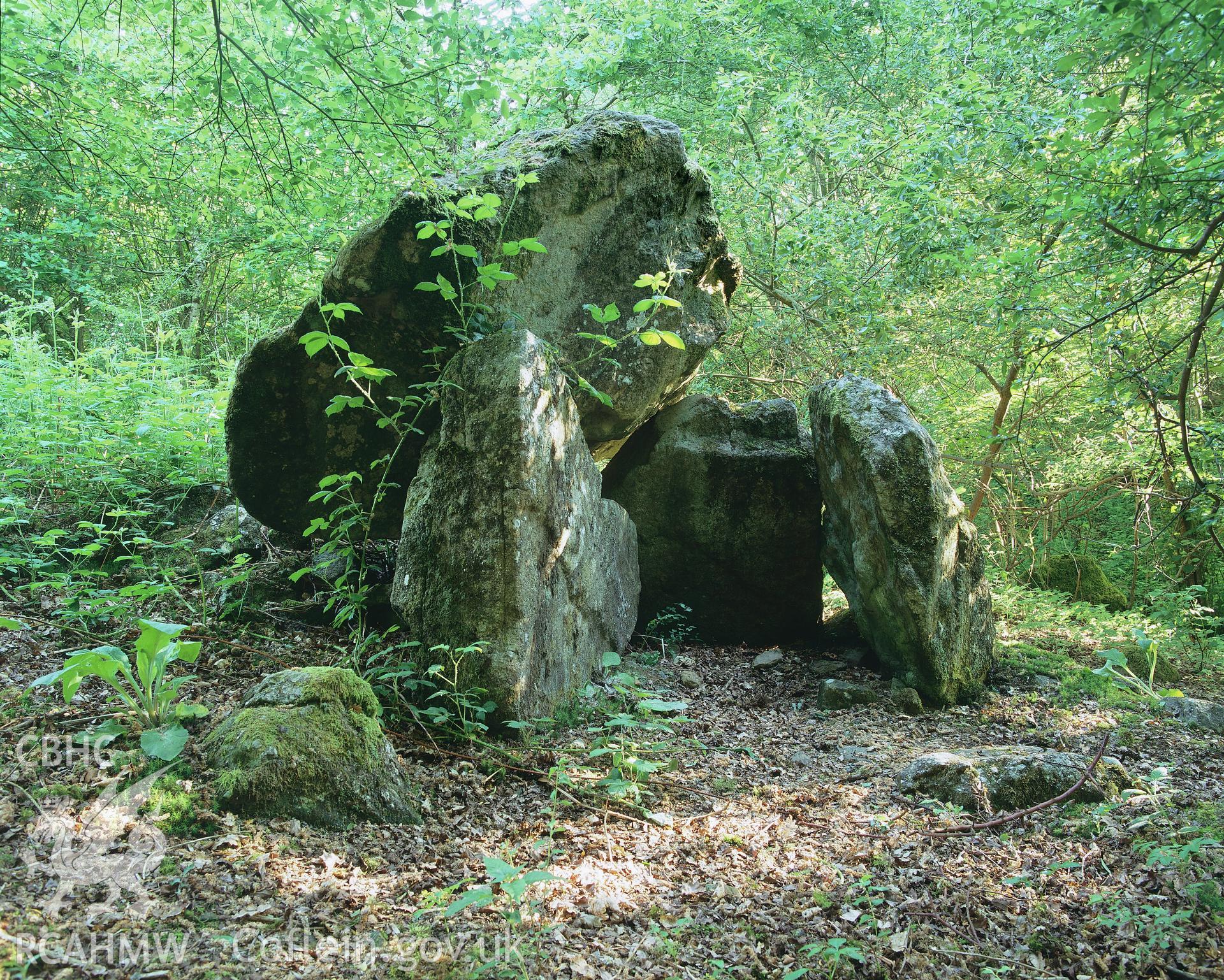 RCAHMW colour transparency showing view of Twlc y Filiast Chambered Tomb, Llangynog.