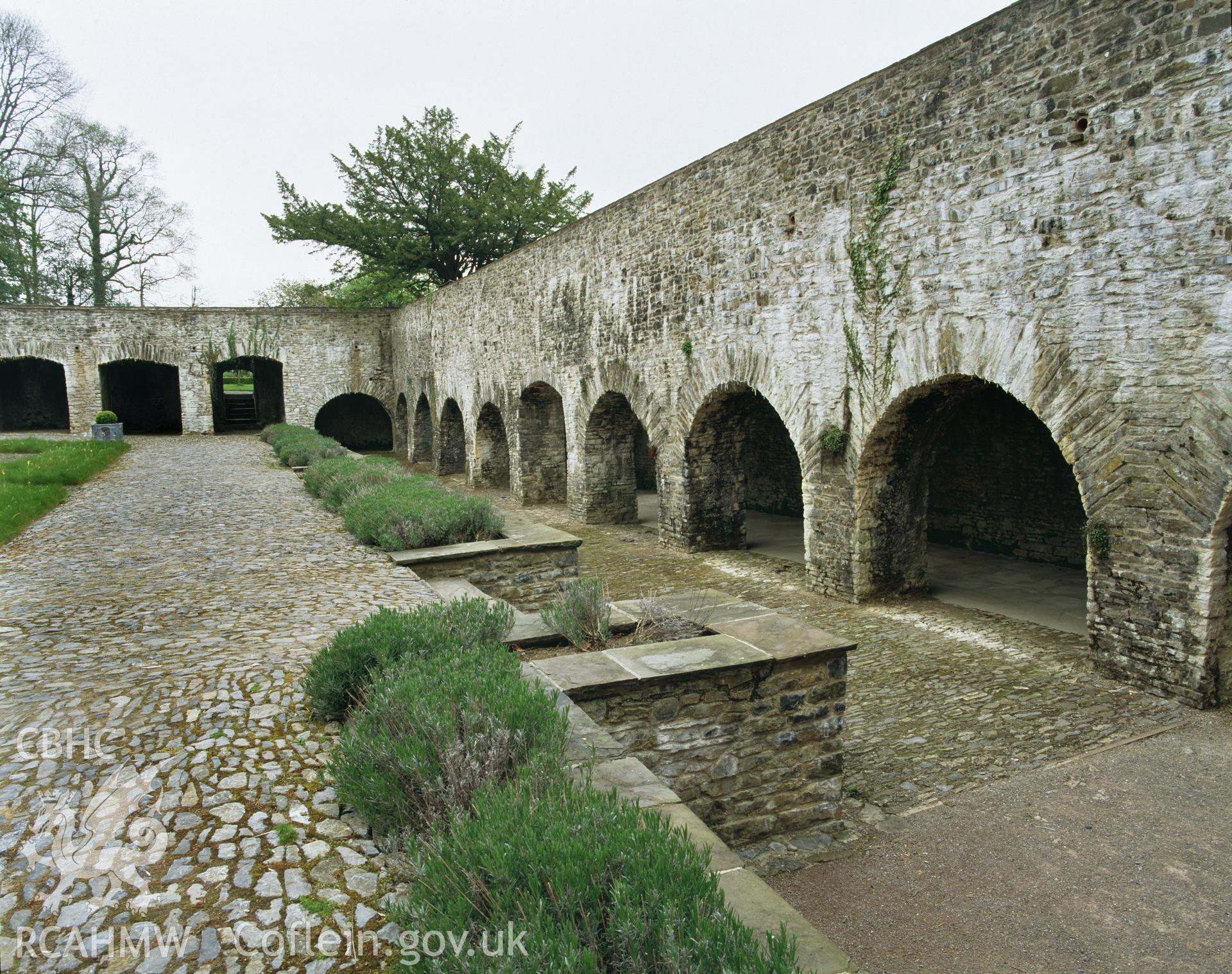 Colour transparency showing the cloister wall at Aberglasney, Llansgathen, produced by Iain Wright, June 2004.