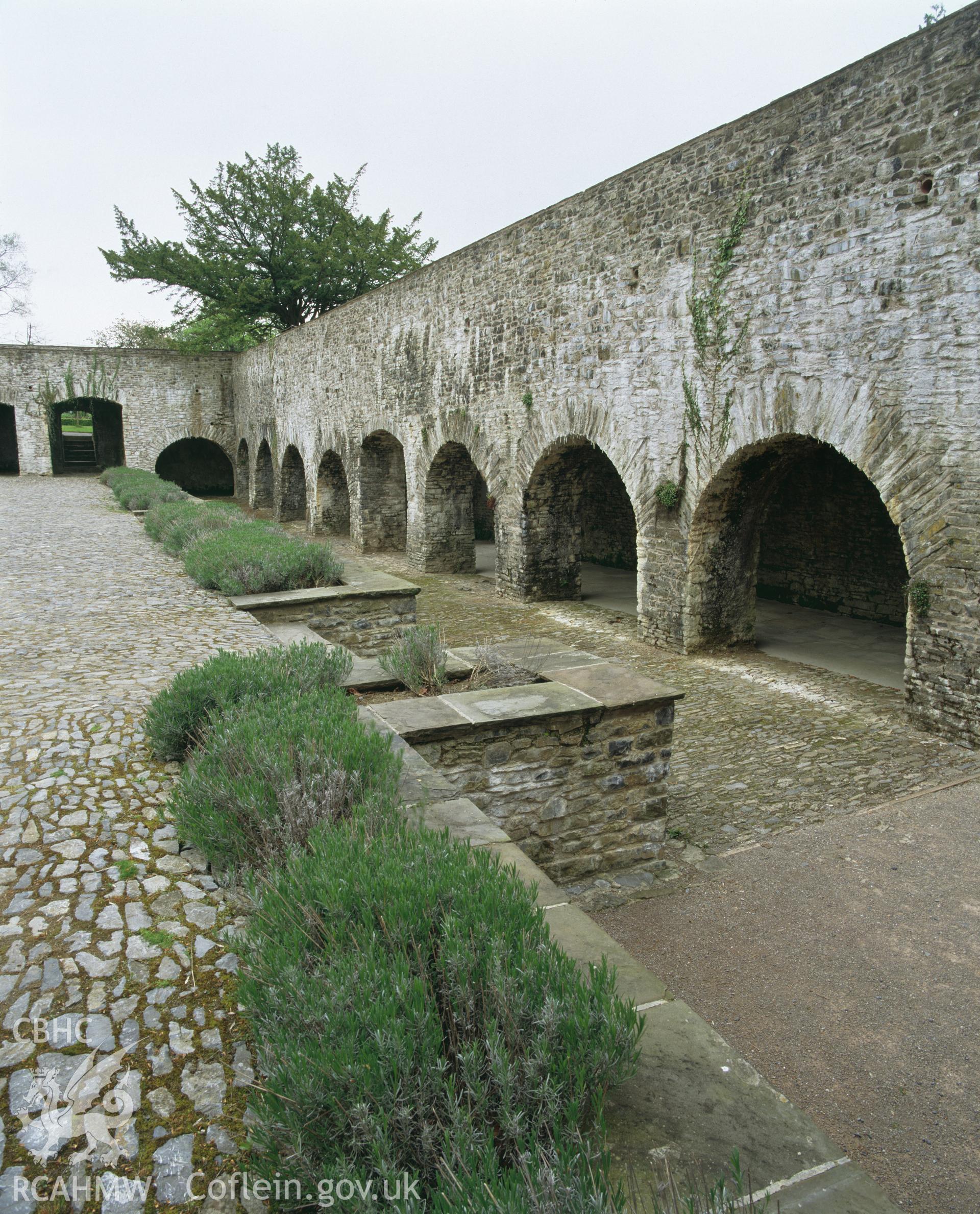 Colour transparency showing the cloister wall at Aberglasney, Llansgathen, produced by Iain Wright, June 2004.