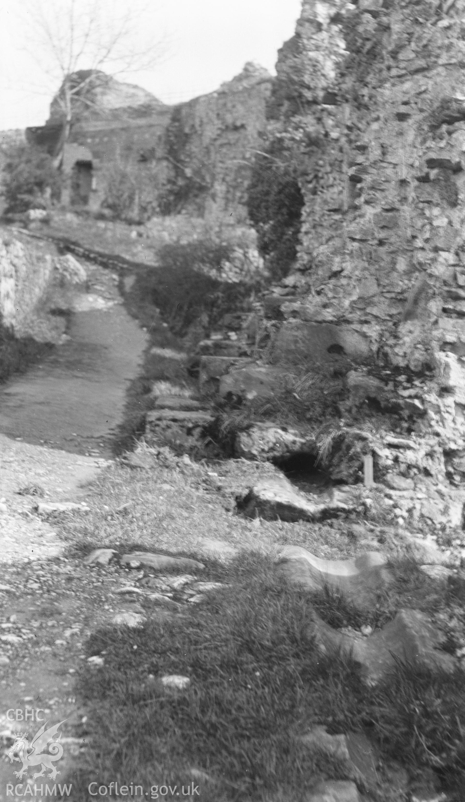 Digital copy of a nitrate negative showing view of Denbigh Castle, taken by RCAHMW, undated.