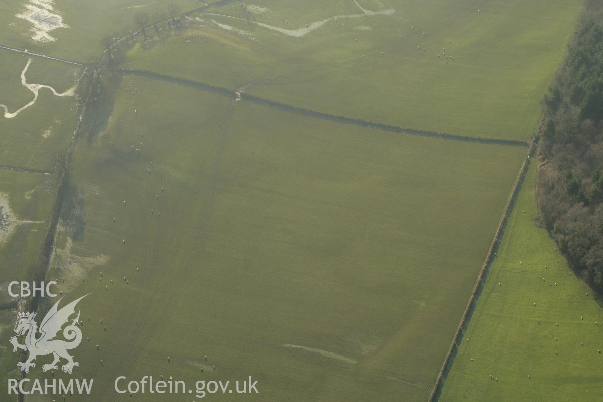 RCAHMW colour oblique aerial photograph showing cropmarks on the site of Llwydfaen Church. Taken on 25 January 2007 by Toby Driver