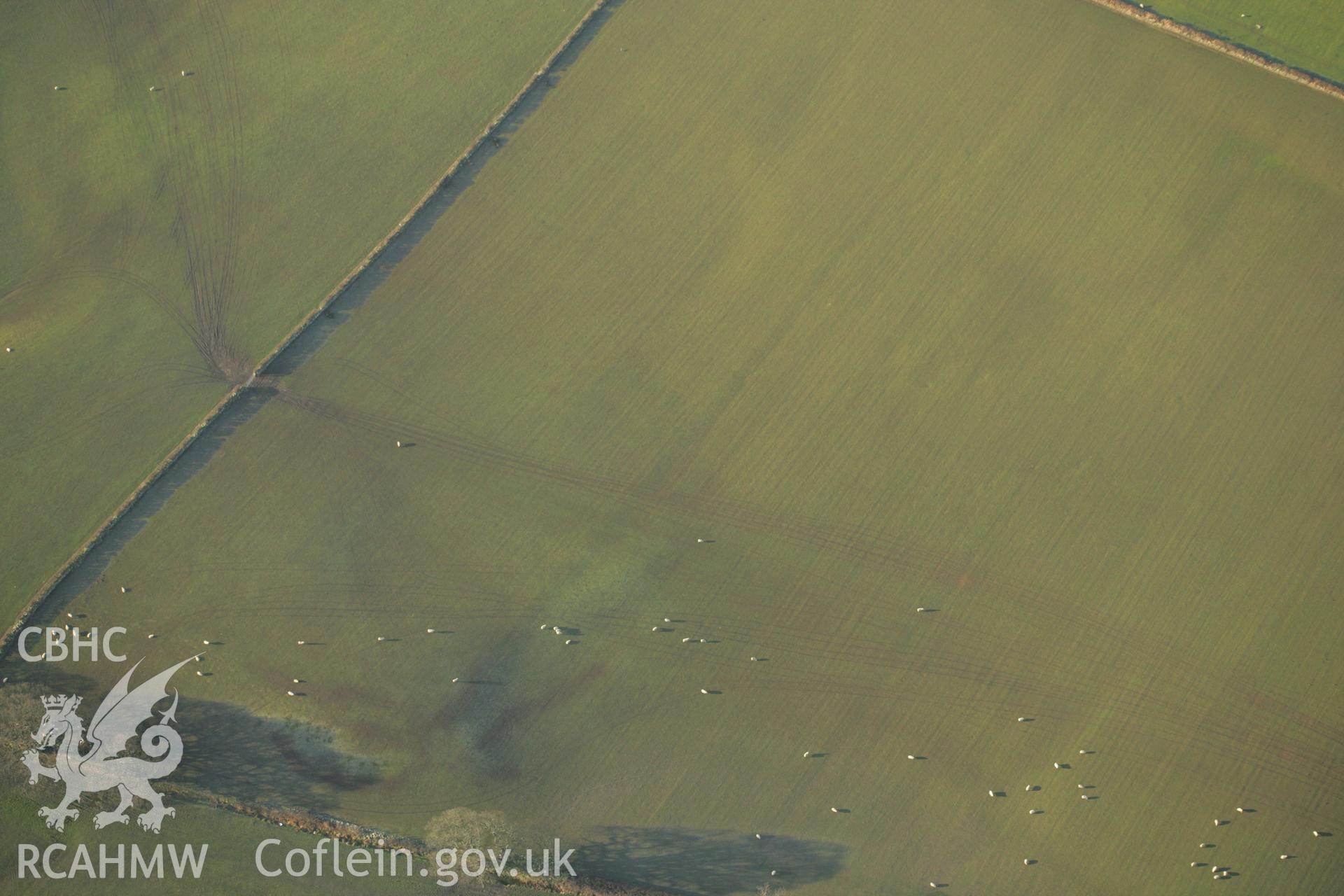 RCAHMW colour oblique aerial photograph howing  cropmarks indicating the foundations on the site of Llwydfaen Church. Taken on 25 January 2007 by Toby Driver