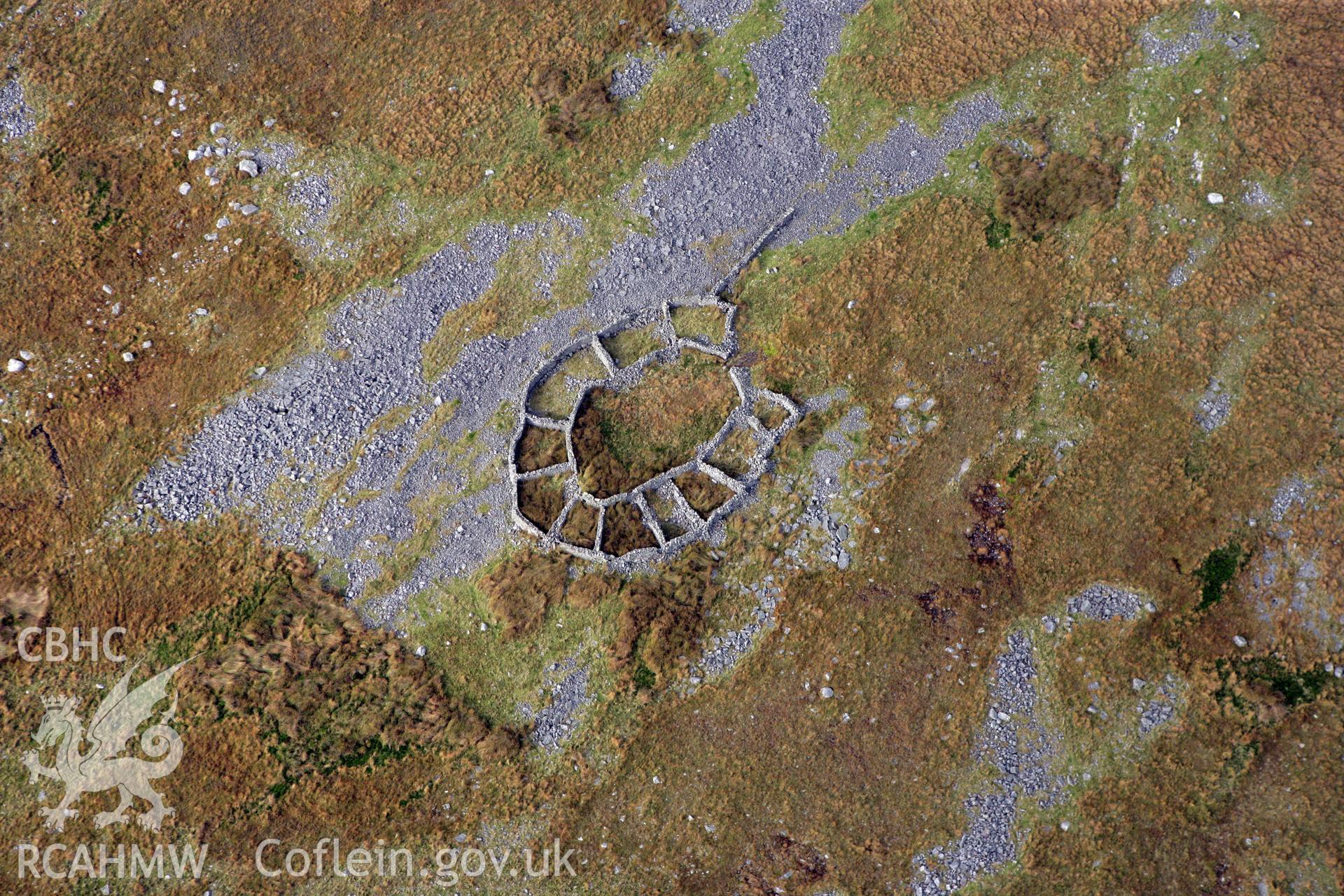 RCAHMW colour oblique aerial photograph of a multi-cellular sheepfold at Dorwen Ar Giedd. Taken on 14 October 2009 by Toby Driver