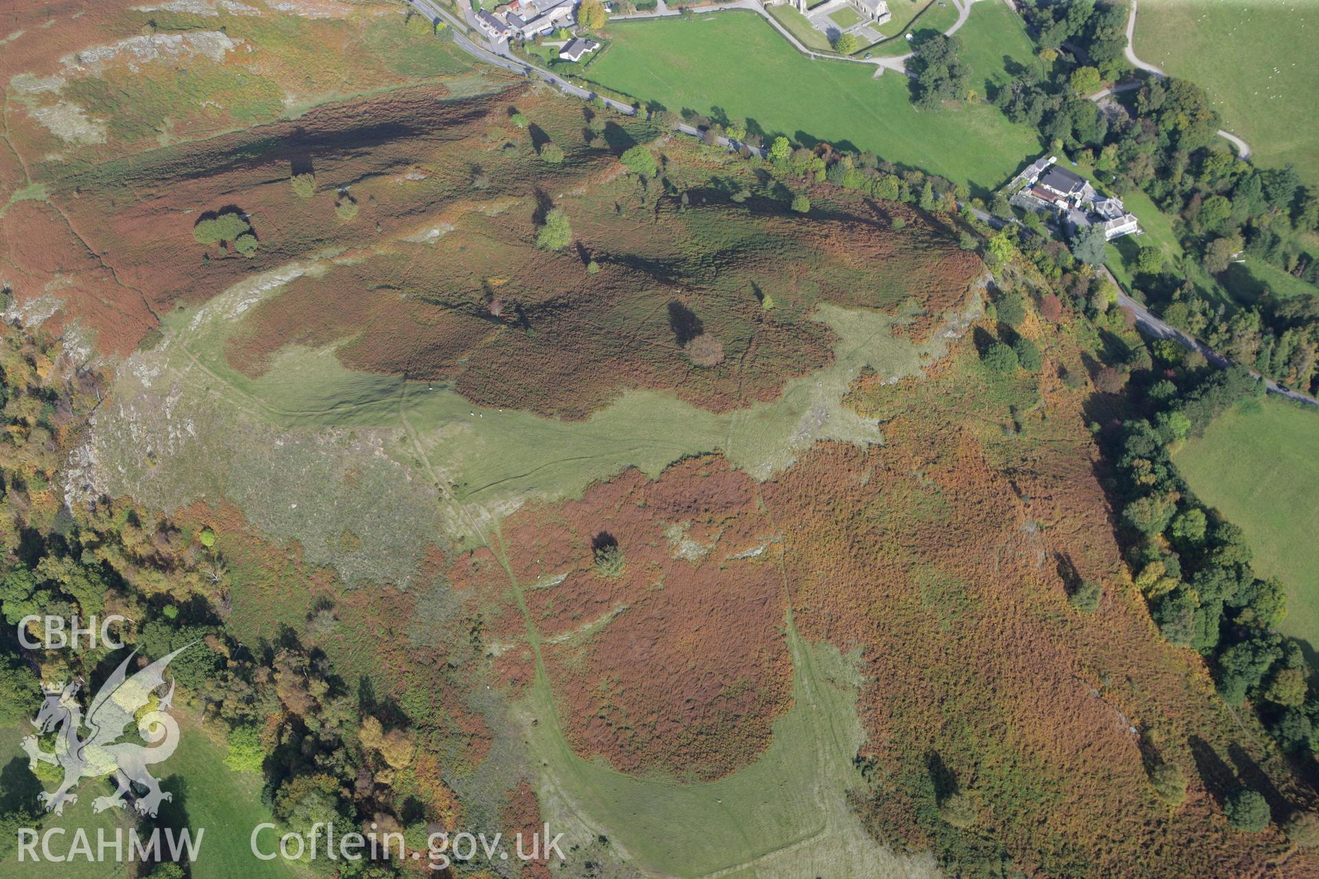 RCAHMW colour oblique aerial photograph of Coed Hyrddyn Field System. Taken on 13 October 2009 by Toby Driver